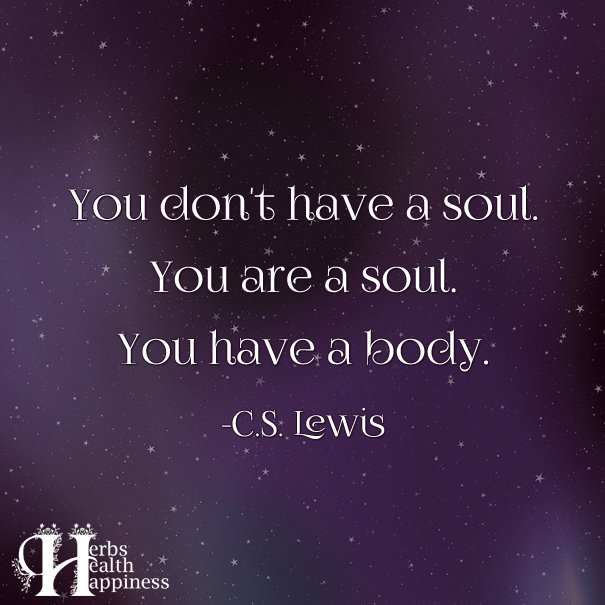 You Don't Have A Soul