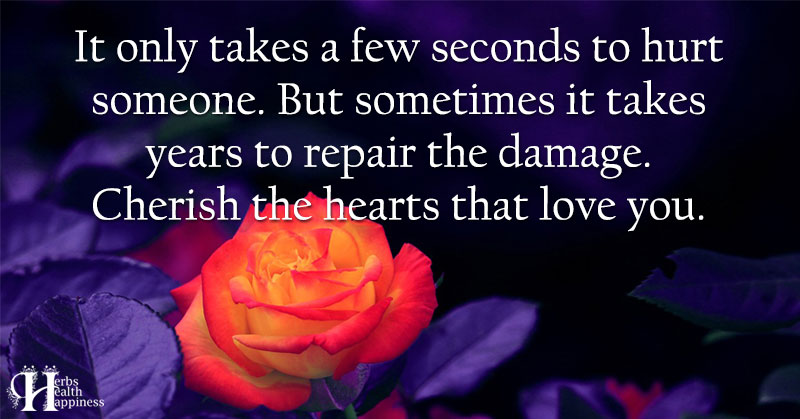 It Only Takes A Few Seconds To Hurt Someone - ø Eminently Quotable ...