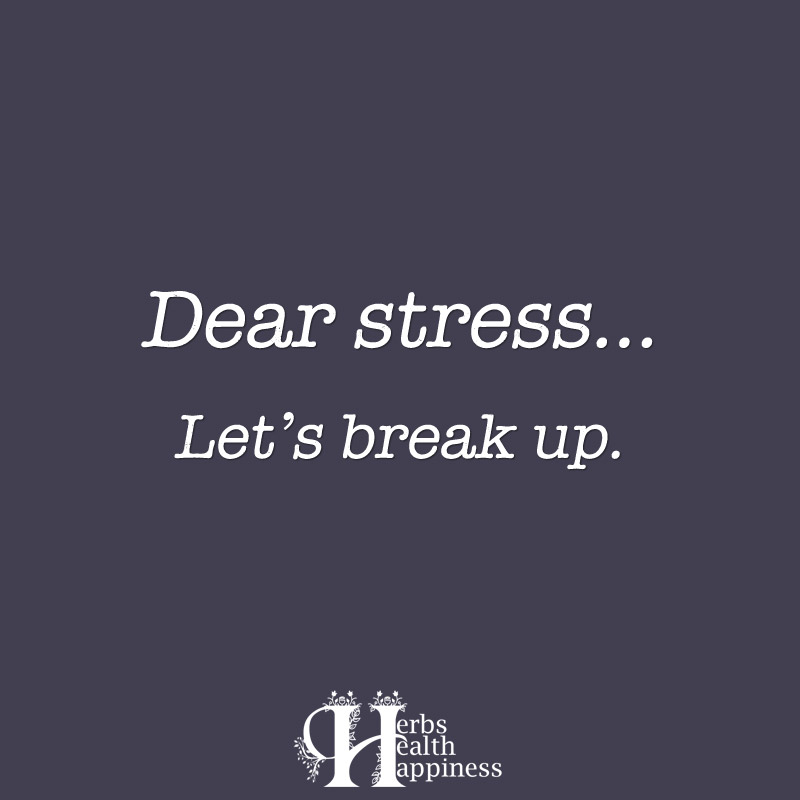 Dear Stress Let's Break Up
