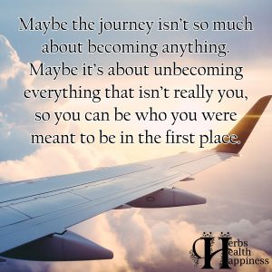 Maybe The Journey Isn't So Much About Becoming Anything - ø Eminently ...