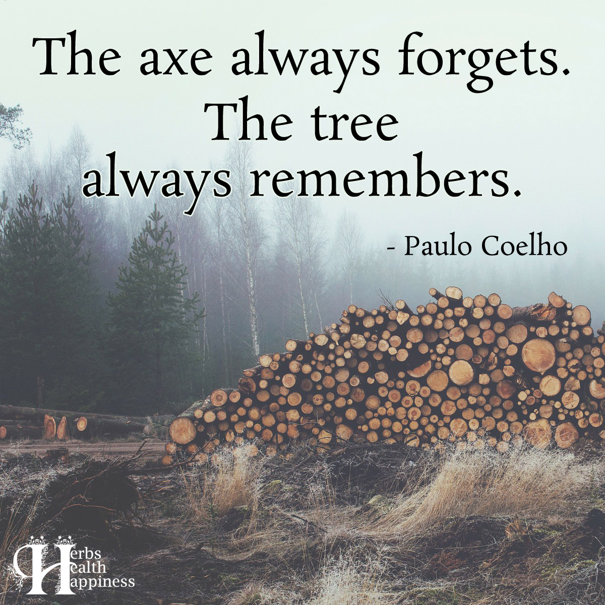The Axe Always Forgets