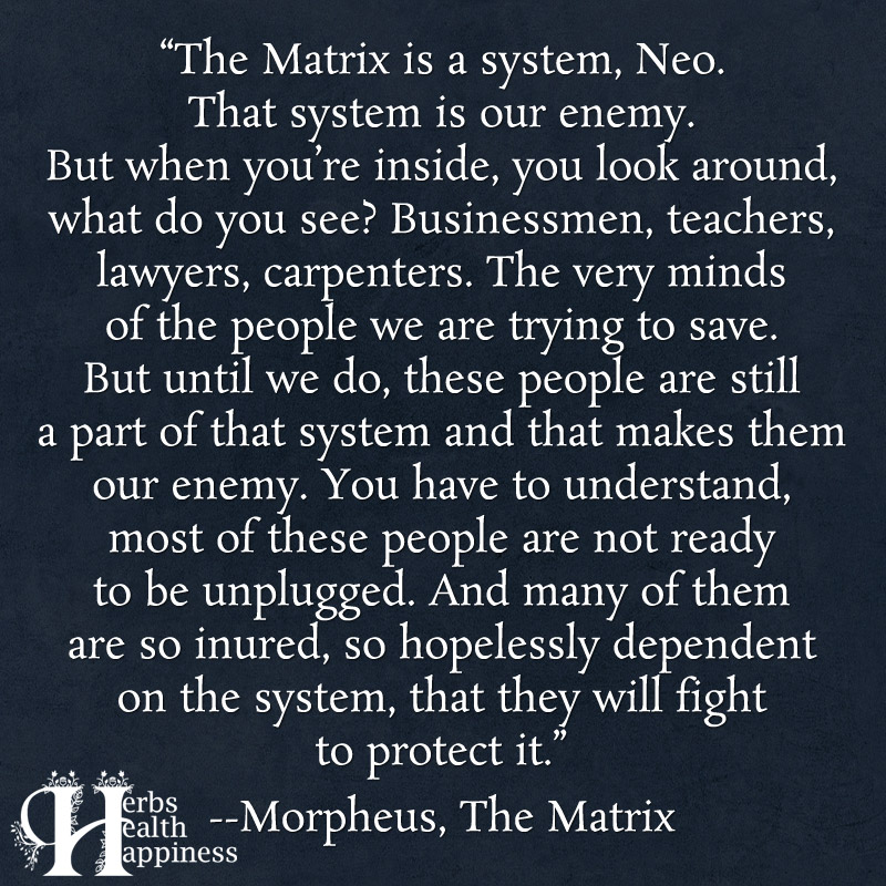 The Matrix Is A System