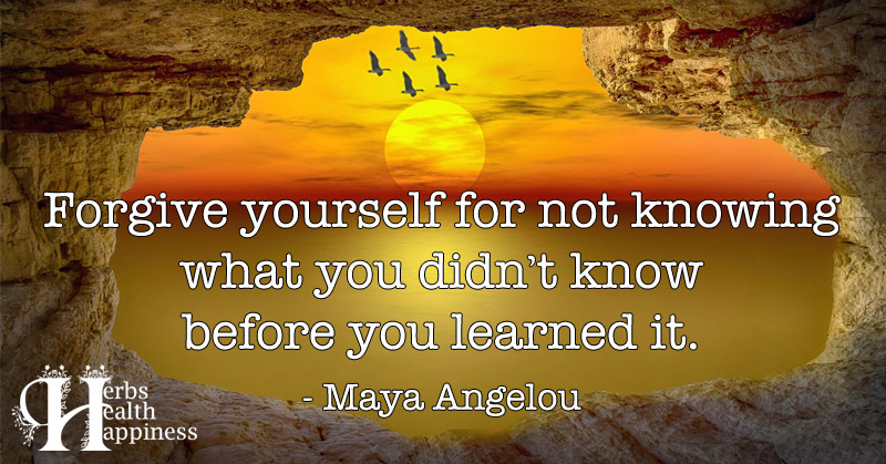 forgive-yourself-for-not-knowing-what-you-didn-t-know-eminently