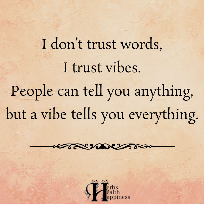 I Dont Trust Words I Trust Vibes