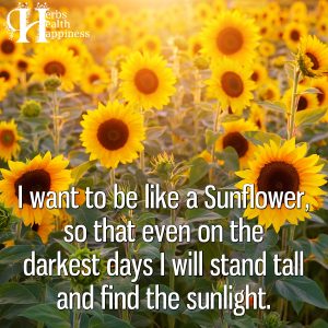 I Want To Be Like A Sunflower - ø Eminently Quotable - Inspiring And ...