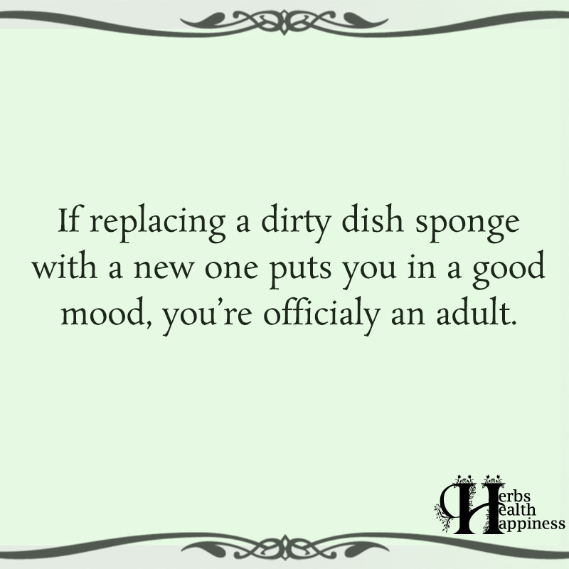 If Replacing A Dirty Dish Sponge With A New One Puts You In A Good Mood