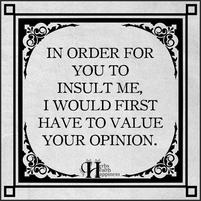 In Order For You To Insult Me, I would First Have To Value Your Opinion