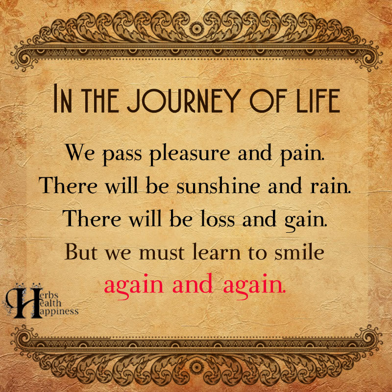 In The Journey Of Life, We Pass Pleasures And Pain