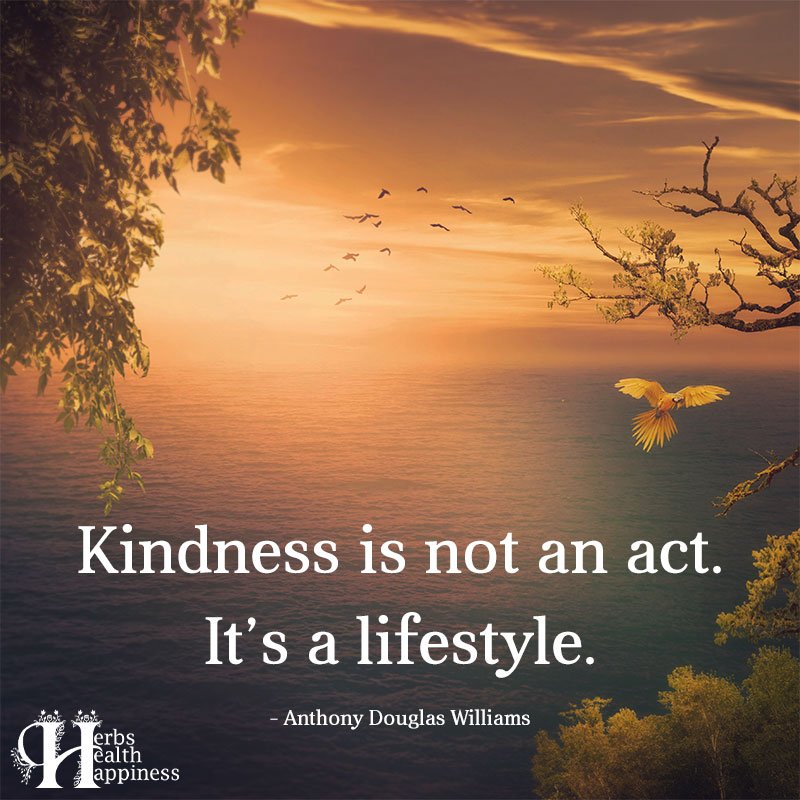Kindness Is Not An Act Its A Lifestyle