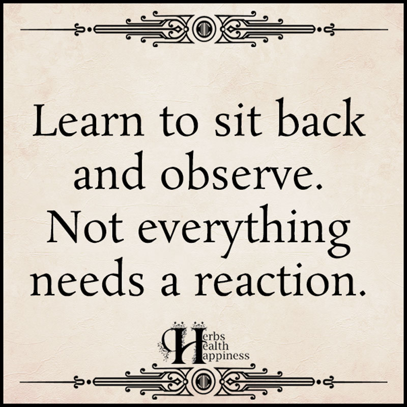 Learn To Sit Back And Observe