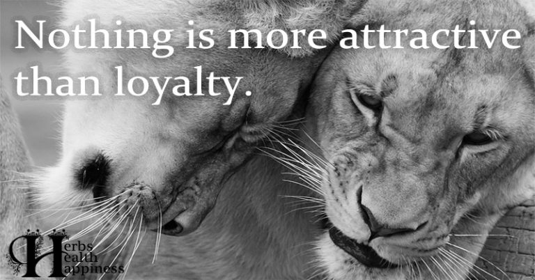 nothing-is-more-attractive-than-loyalty-eminently-quotable-quotes