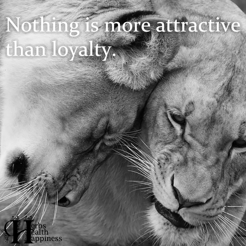 Nothing Is More Attractive Than Loyalty