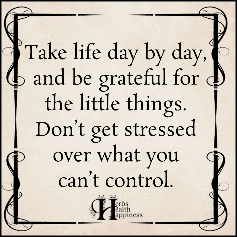 Take Life Day By Day And Be Grateful